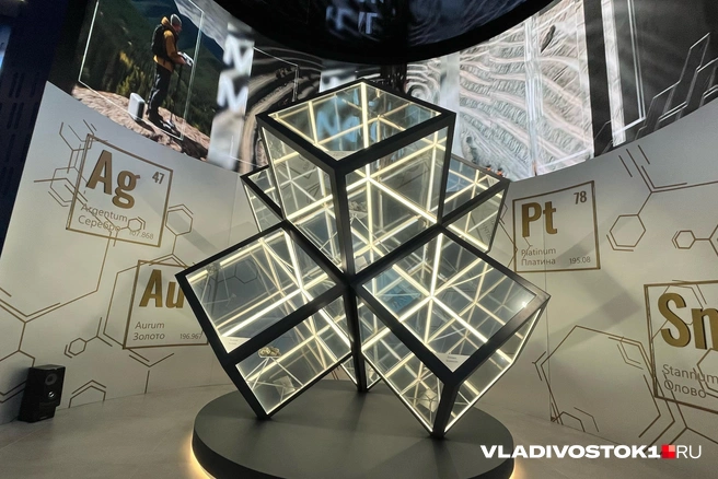 Источник: Елена Буйвол / VLADIVOSTOK1.RU