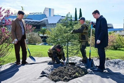 В Сочи высадили кедр в память о Гагарине