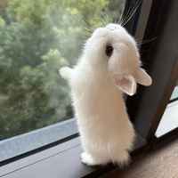 Аватарка mayorov2027