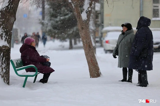 А можно просто погулять и пообщаться  | Источник: Наталья Лапцевич 