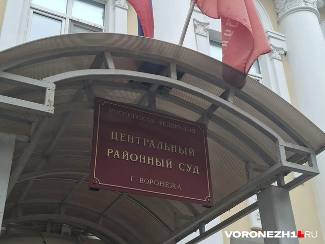 Заседание прошло в Центральном районном суде | Источник: Алена Воропаева / Voronezh1.ru