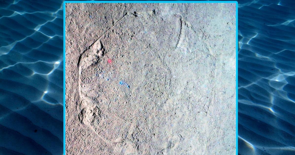 Uss nevada на дне. на дне океана. юсс джонстон корабль. подводные пещеры. фото тихоокеанского дна.