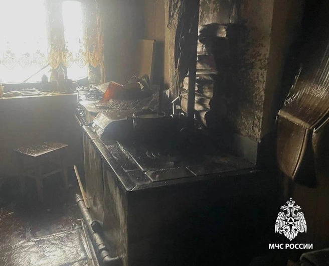 Женщина погибла при пожаре в Рязанской области | Источник: МЧС Рязанской области