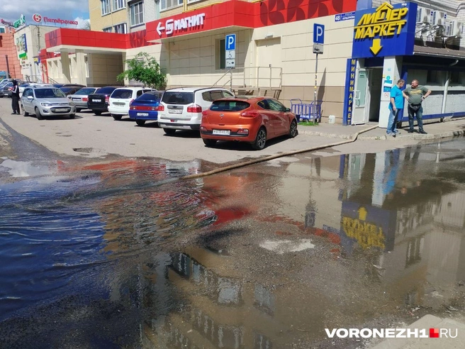 Источник: Дмитрий Волгин / Voronezh1.ru