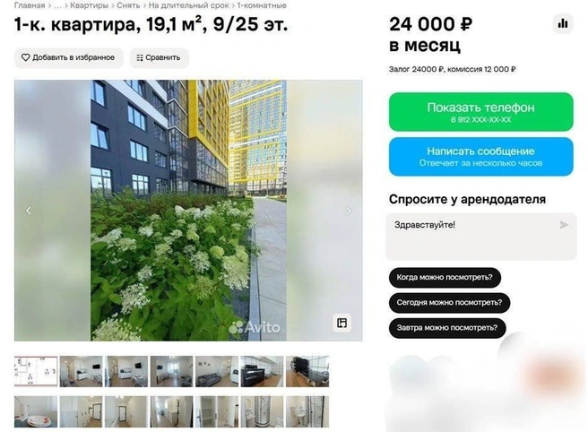 Посмотрите, какой красивый двор идет в комплекте с квартирой | Источник: Avito.ru