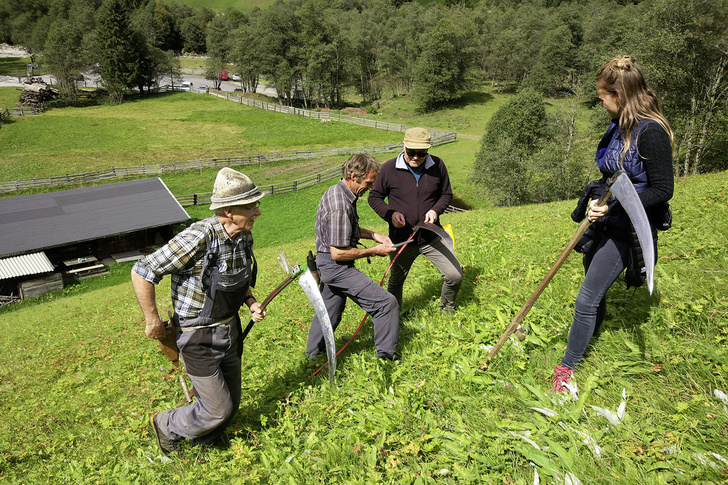 В горах мое сердце: как живут и работают на альпийской ферме в Австрии