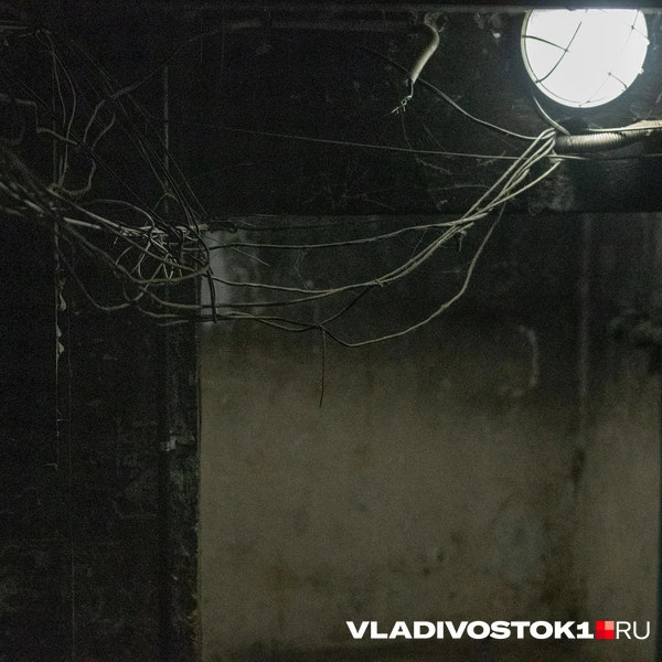 Источник: Елена Буйвол / VLADIVOSTOK1.RU