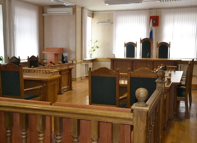 Рязанскому водителю, сбившему насмерть пенсионерку, дали пять лет колонии | ya62.ru