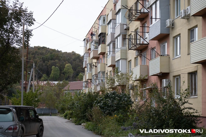 Источник: Елена Буйвол / VLADIVOSTOK1.RU