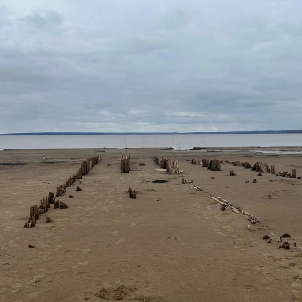 Берег Камы выглядит как морской | Источник: Фото предоставлено Дмитрием