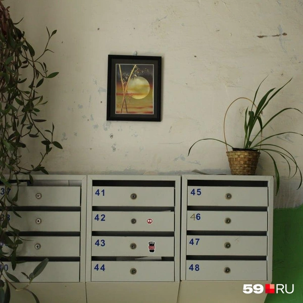 В подъезде стоят цветы | Источник: Максим Черепанов