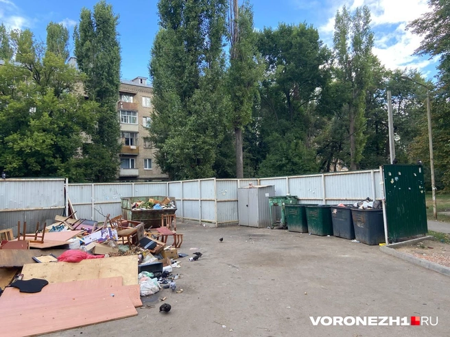 Источник: Дмитрий Волгин / Voronezh1.ru