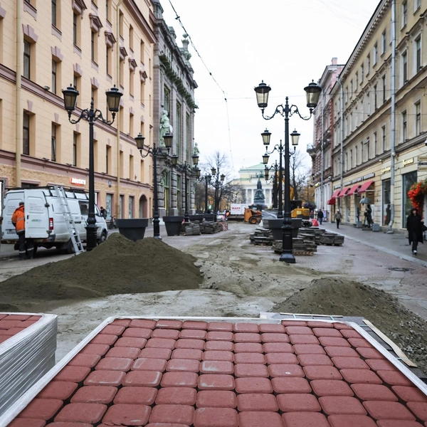 Источник: СПб ГБУ «Центральное УРДиБ»