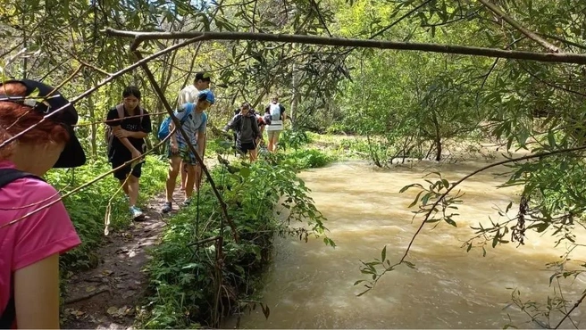 В ручьях поднялся уровень воды | Источник: olenpark_ru / vk.ru