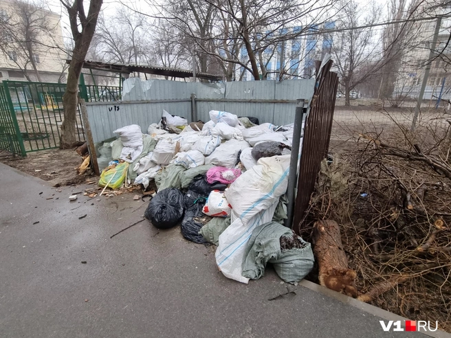 Рядом с площадкой высятся груды растительных обрезков | Источник: Константин Завриков / V1.RU