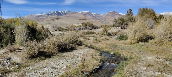 Источник: Предоставила Юлия Бакшеева