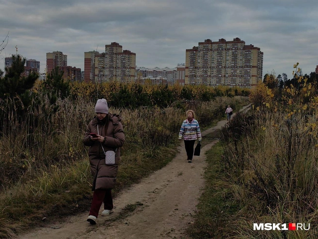 Жители подмосковного города раскритиковали власти за желание благоустроить лес | Источник: Дмитрий Бондарев / MSK1.RU