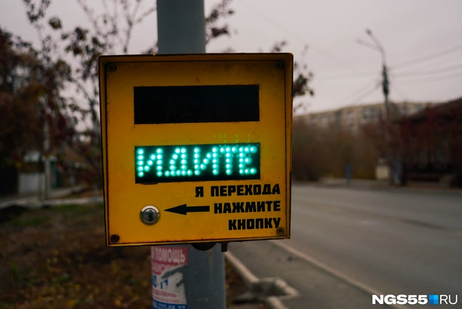 «Вызывные» пешеходы вносят непрогнозируемые коррективы в ленту координации «зеленой волны» | Источник: Елена Латыпова / NGS55.RU