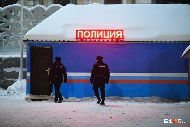 Источник: Артем Устюжанин / E1.RU