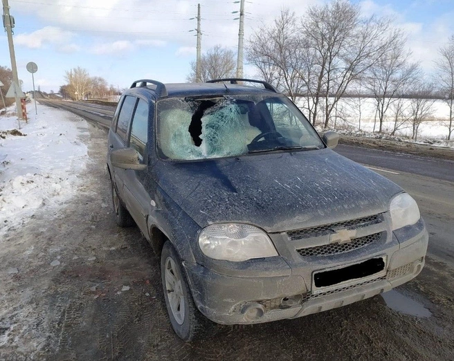 Кусок льда пробил лобовое стекло со стороны пассажира | Источник: МВД России по Воронежской области / T.me