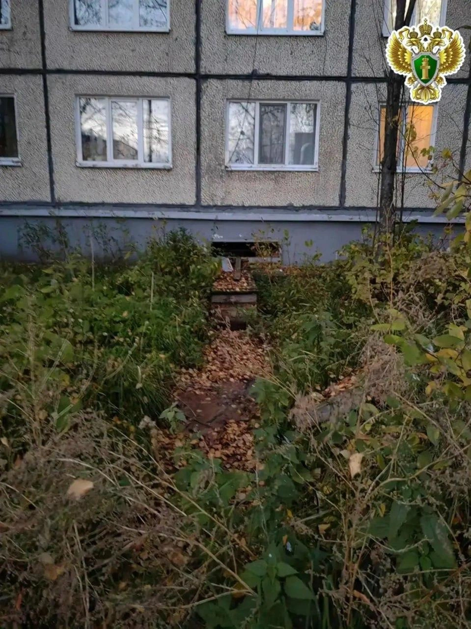  Всё случилось у дома № 24 по улице Кирпичного завода | Источник: Прокуратура Архангельской области и НАО