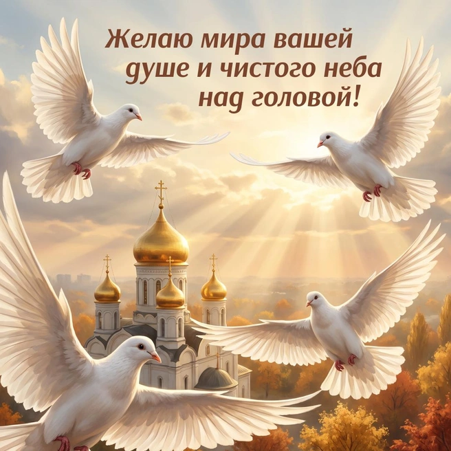 Источник: Городские медиа
