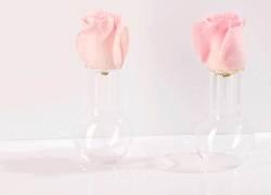 Для тех, кто любит розовый (и чистую кожу): новый уход от Lancôme