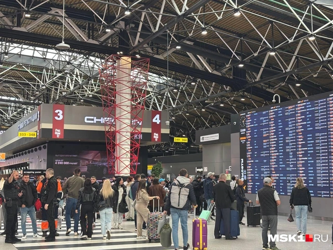 «В ресторанах даже закончились блюда». Что происходит в Шереметьево после транспортного коллапса из-за отмены и переноса рейсов | Источник: Иван Гусаров / MSK1.RU