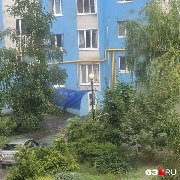 Ситуацию можно описать как «деревопад» | Источник: читатель 63.RU 