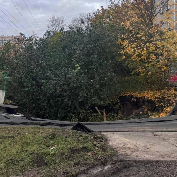 Источник: Прокуратура г. Санкт-Петербурга