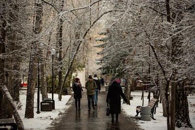 Потепление в Новосибирске: до +1 и снег с дождем