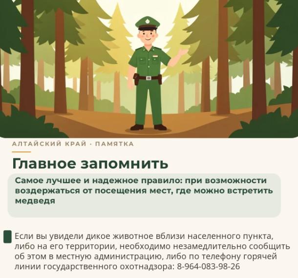 В Минприроды Алтайского края дали советы, что делать при встрече с медведем