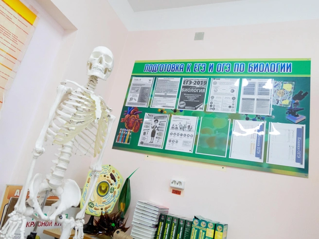 Качество образования улучшится, но за счёт отсева части учащихся | Источник: Владислав Лоншаков / E1.RU