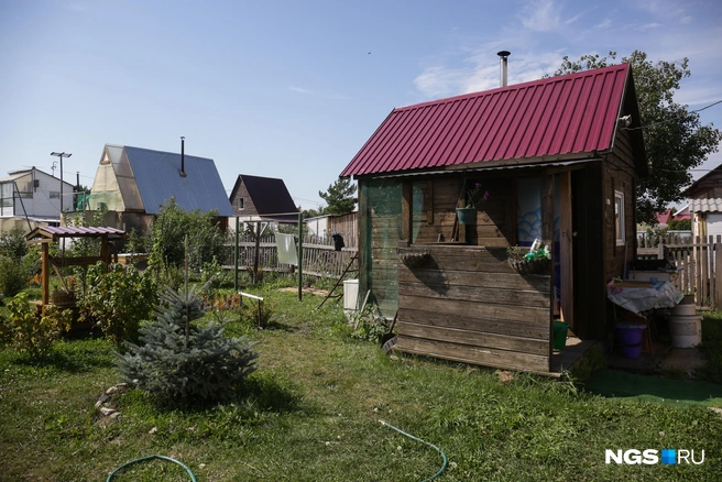 Многое зависит от осенней и ранне-весенней обработки участка | Источник: Ростислав Нетисов / NGS.RU