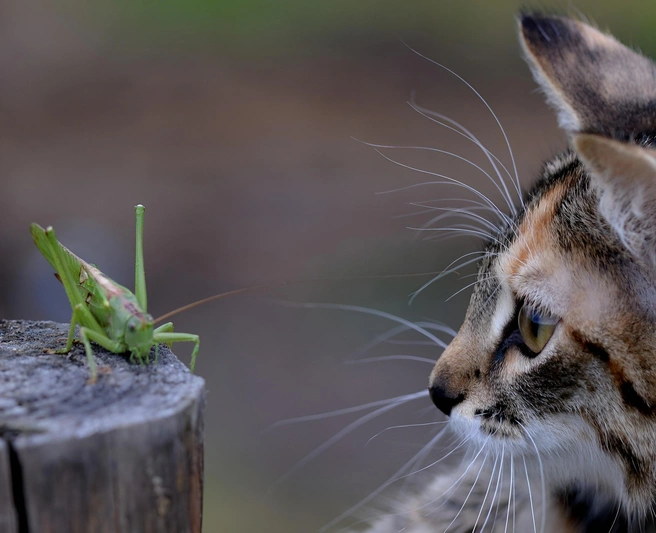 Источник: Предоставлено Николаем Пушилиным