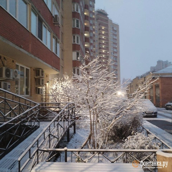 Источник: FONTANKA.RU