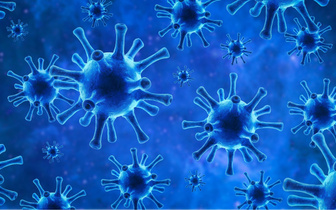 Почему ученые не могут определиться: живые вирусы или нет?