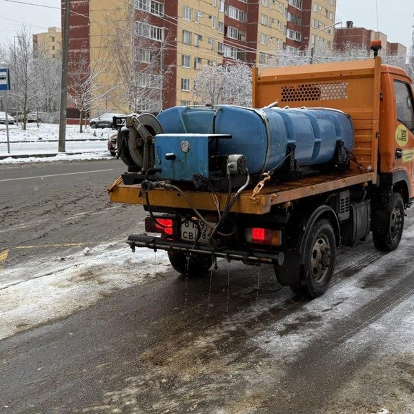 Источник: Комитет по благоустройству Петербурга
