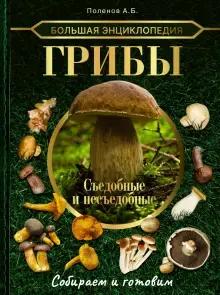 Книга: «Большая энциклопедия. Грибы. Съедобные и несъедобные»