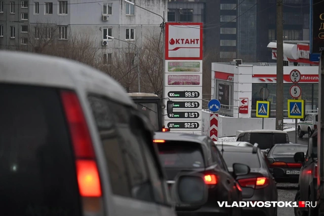 Источник: Елена Буйвол / VLADIVOSTOK1.RU