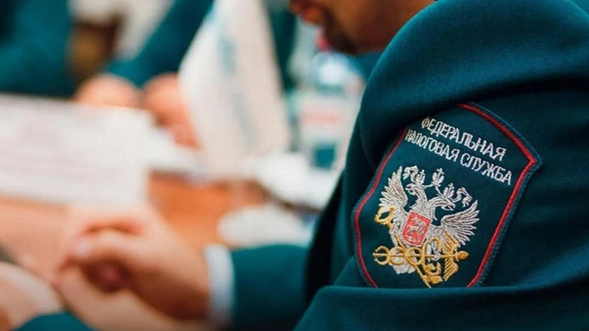 Предварительные итоги декларационной кампании 2026 в Липецкой области | Источник: lipetskcity.ru