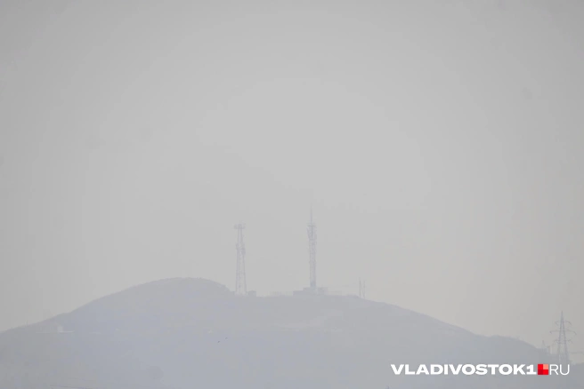 Источник: Елена Буйвол / VLADIVOSTOK1.RU