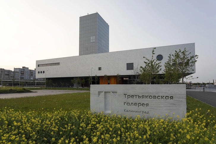 В Калининграде открылся филиал Третьяковской галереи | Источник: Александр Матвеев