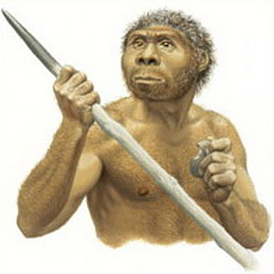Фото №1 - Новые тайны Homo erectus