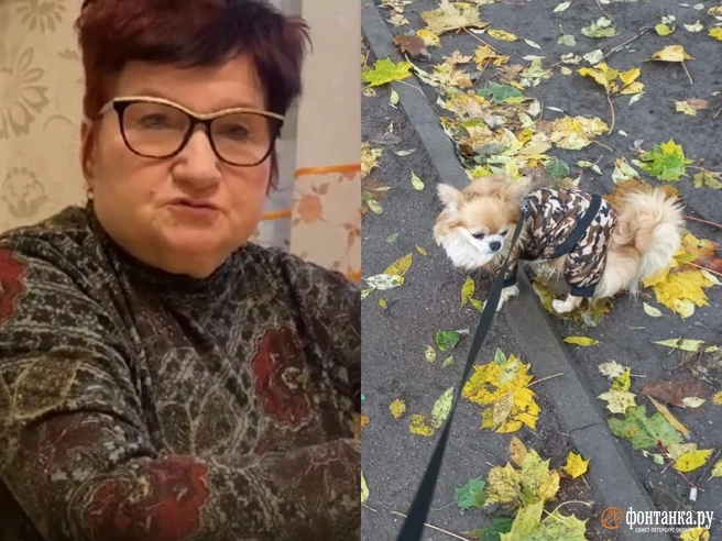 Пожилая петербурженка дошла до суда после того, как ее маленького «чиха» загрызла «бойцовская» собака | Источник: предоставлено «Фонтанке»
