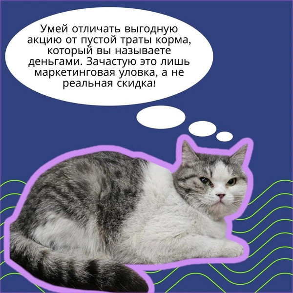 Источник: Банк России в ЦФО / Вконтакте