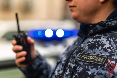 В Пскове задержан подозреваемый в краже из магазина