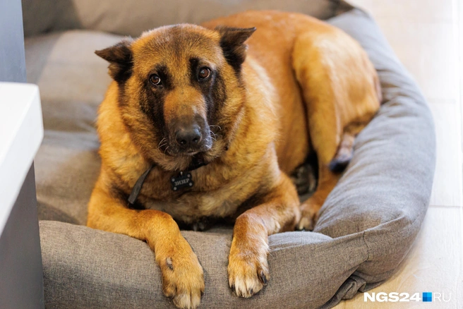 Даже не предлагай мне это | Источник: Мария Ленц / NGS24.RU