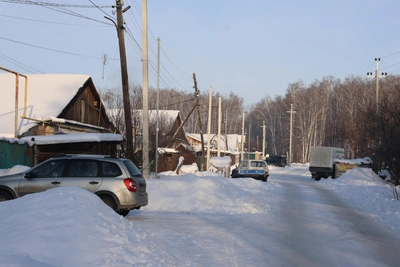 Россети объяснили отключение света в Малиновке на 23 часа