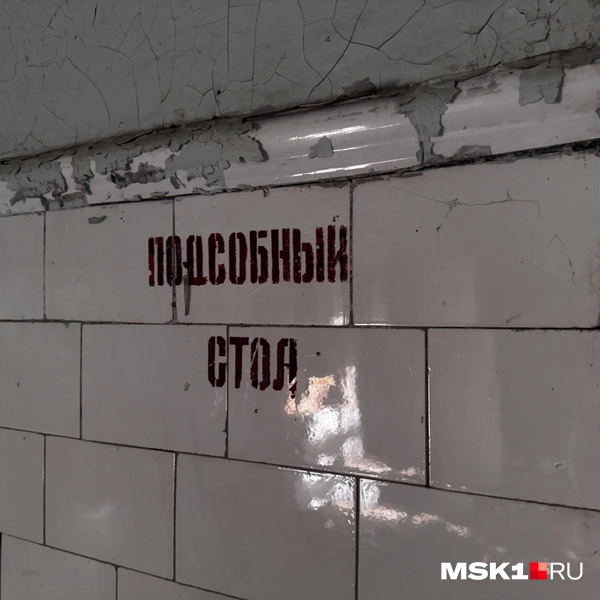 Источник: Алина Мельникова / MSK1.RU